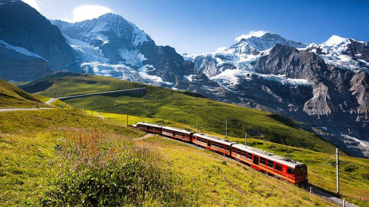 Travel Web Design