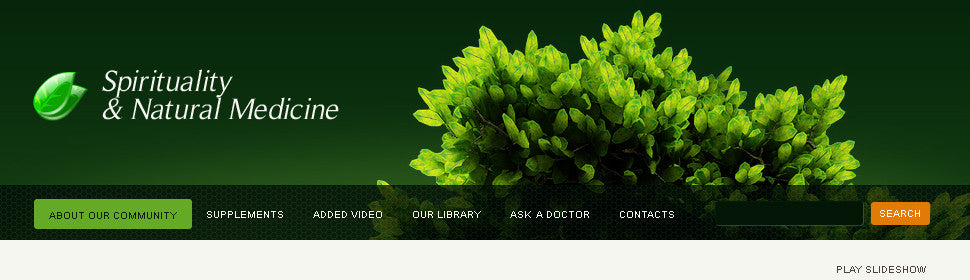 WordPress Themes - GoWebBaby.Com