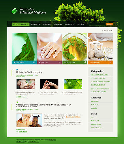 WordPress Themes - GoWebBaby.Com