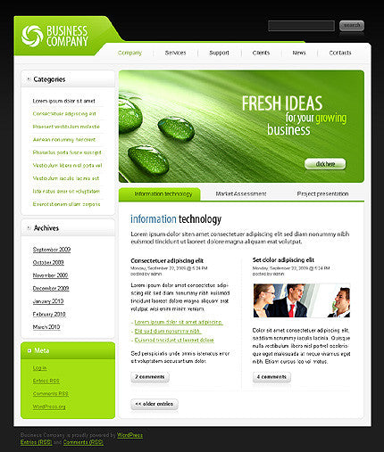 WordPress Themes - GoWebBaby.Com