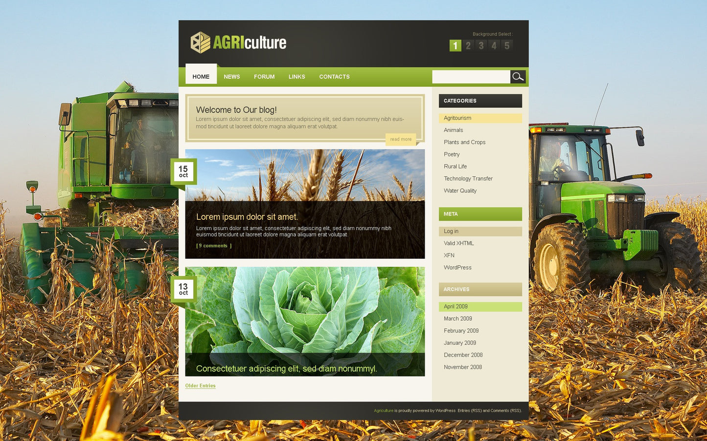 WordPress Themes - GoWebBaby.Com