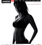 Magento Themes - GoWebBaby.Com