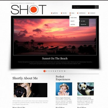WordPress Themes - GoWebBaby.Com