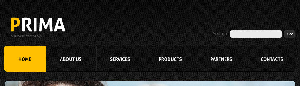 WordPress Themes - GoWebBaby.Com
