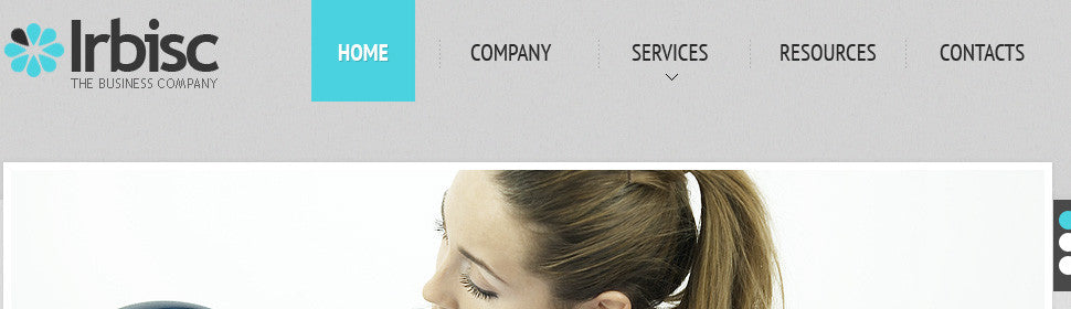 WordPress Themes - GoWebBaby.Com