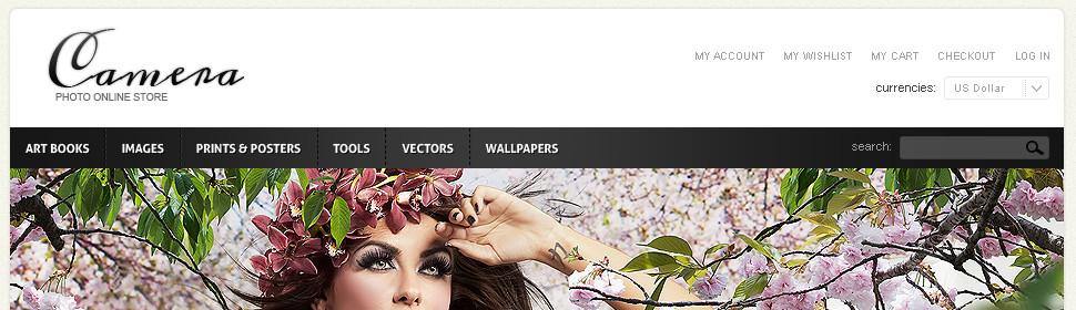 Art and Photo Magento Website Design - GoWebBaby.Com