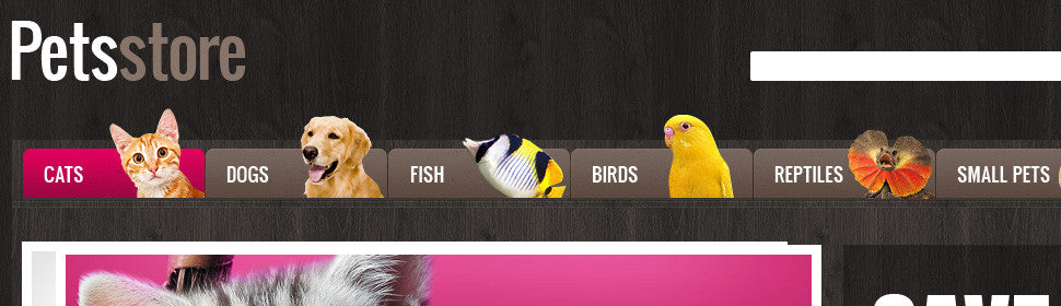 Magento Themes - GoWebBaby.Com