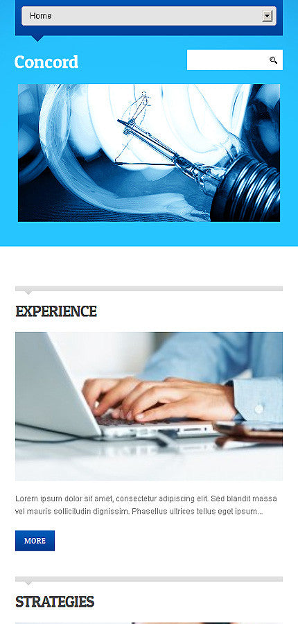 WordPress Themes - GoWebBaby.Com