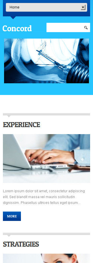 WordPress Themes - GoWebBaby.Com