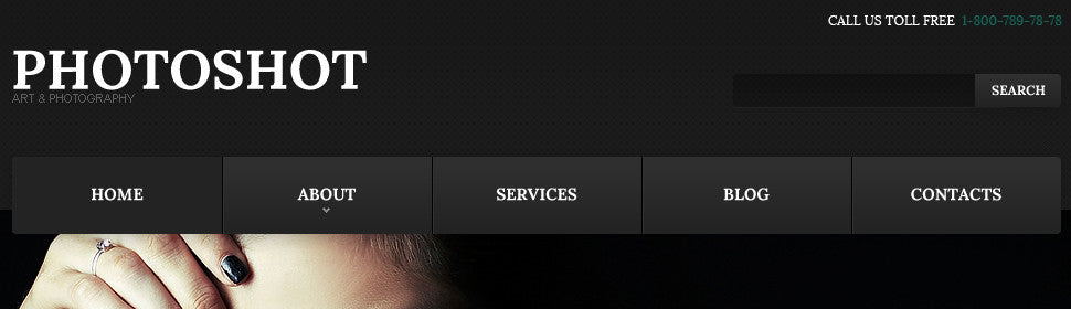 WordPress Themes - GoWebBaby.Com
