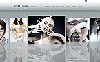 WordPress Themes - GoWebBaby.Com