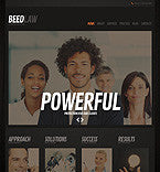 WordPress Themes - GoWebBaby.Com