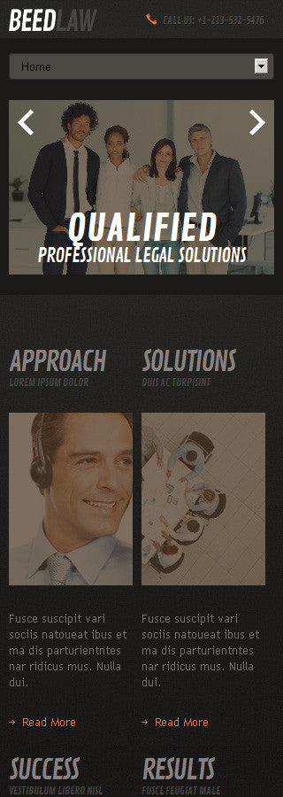 WordPress Themes - GoWebBaby.Com