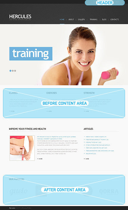WordPress Themes - GoWebBaby.Com