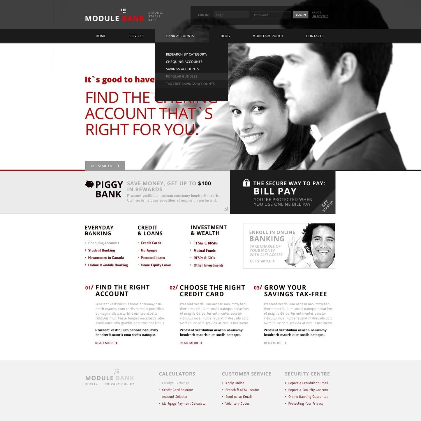 WordPress Themes - GoWebBaby.Com