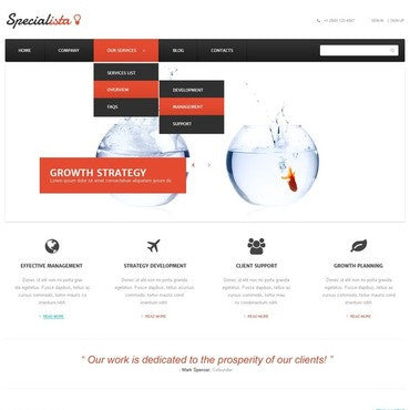 WordPress Themes - GoWebBaby.Com