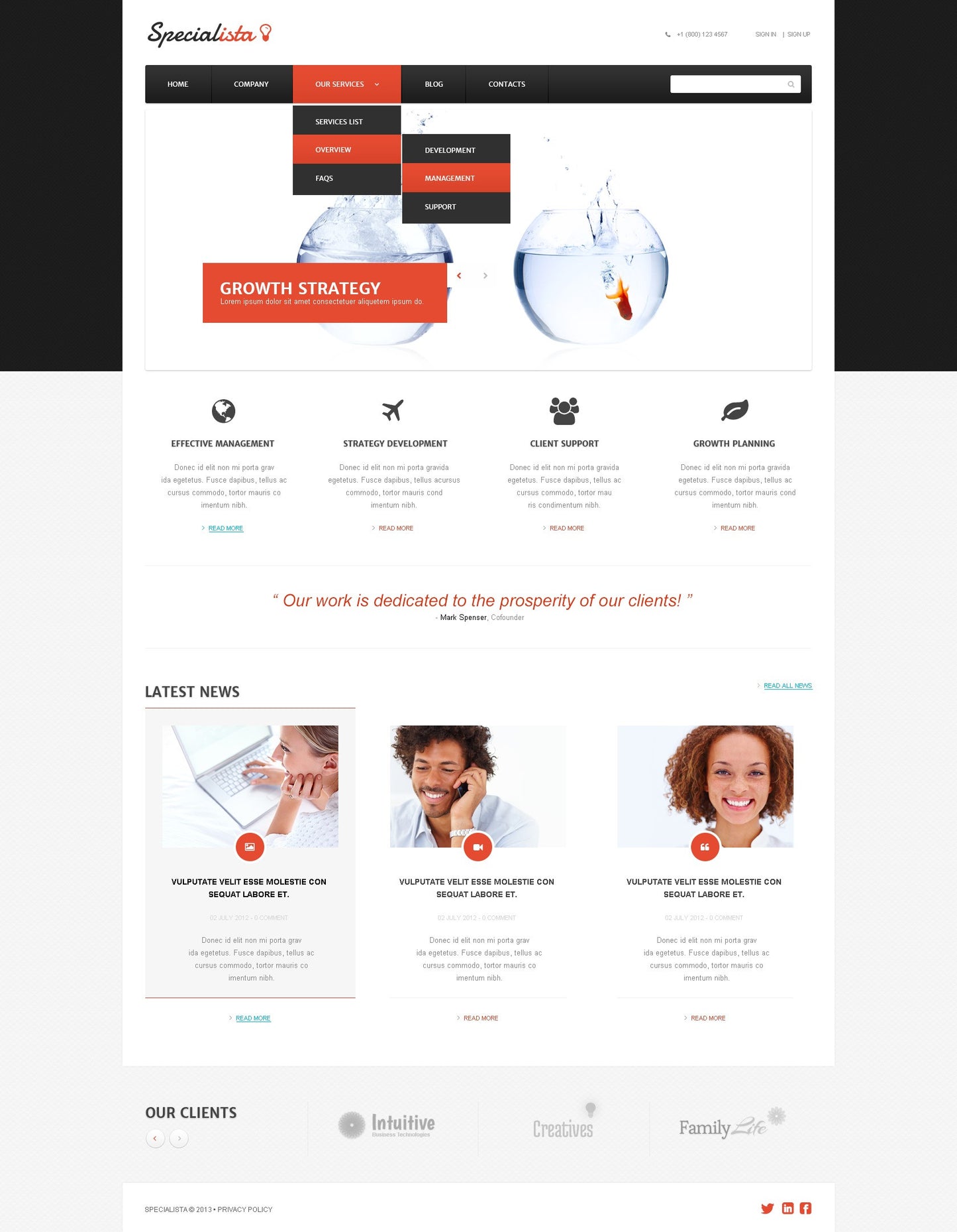 WordPress Themes - GoWebBaby.Com