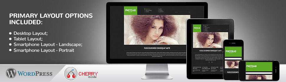 WordPress Themes - GoWebBaby.Com