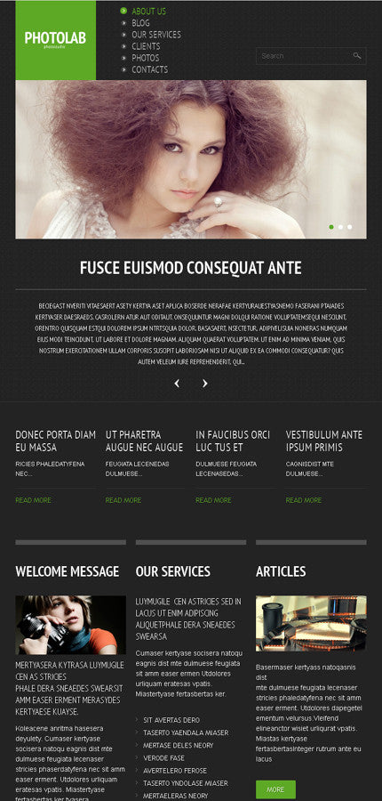 WordPress Themes - GoWebBaby.Com
