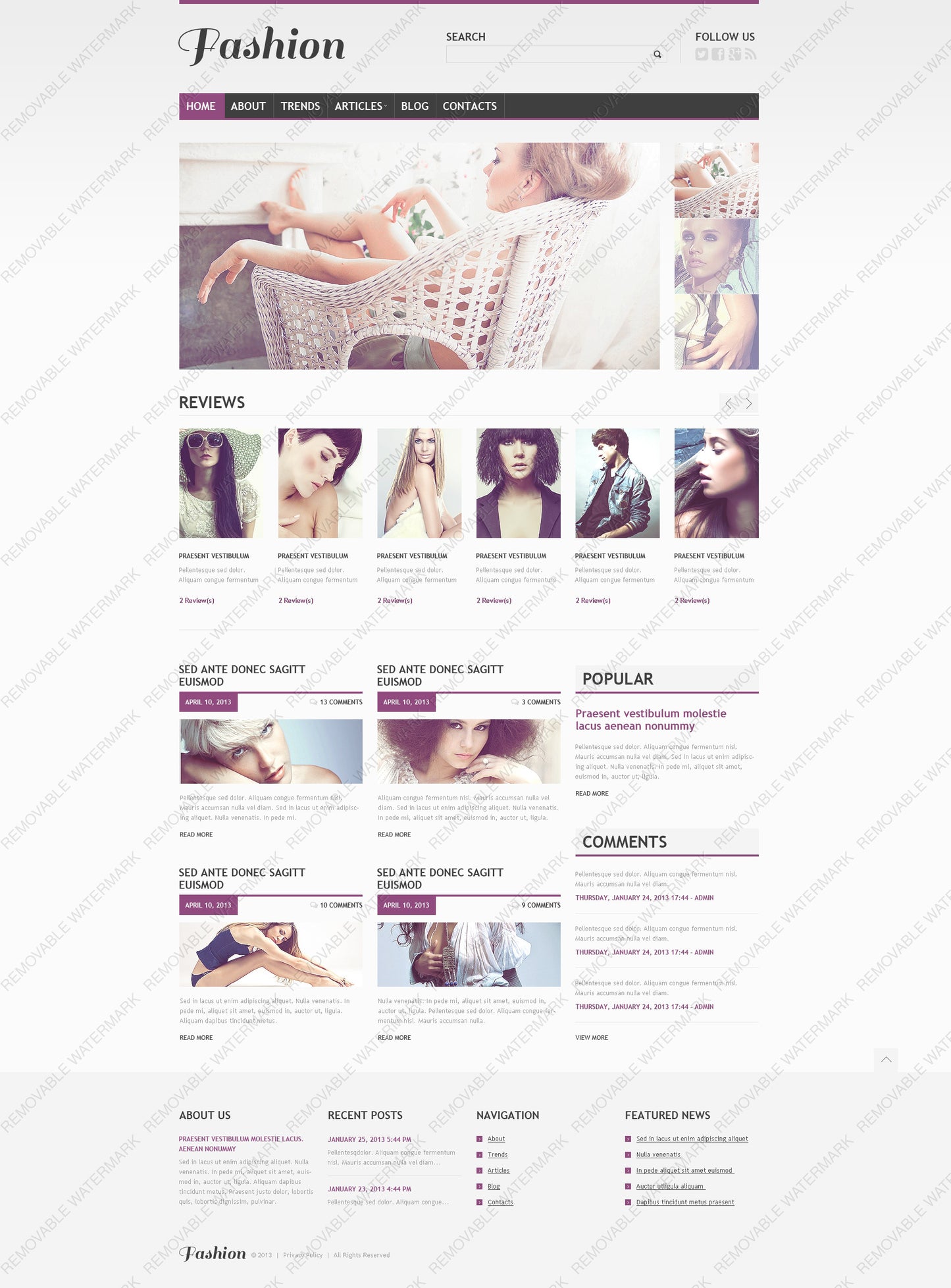 WordPress Themes - GoWebBaby.Com