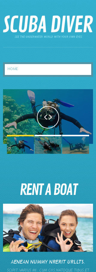 WordPress Themes - GoWebBaby.Com
