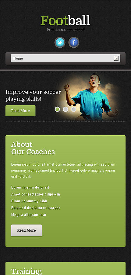 WordPress Themes - GoWebBaby.Com