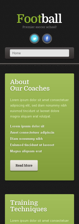 WordPress Themes - GoWebBaby.Com