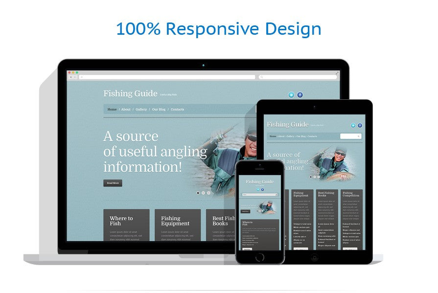 WordPress Themes - GoWebBaby.Com