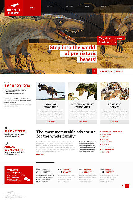 WordPress Themes - GoWebBaby.Com