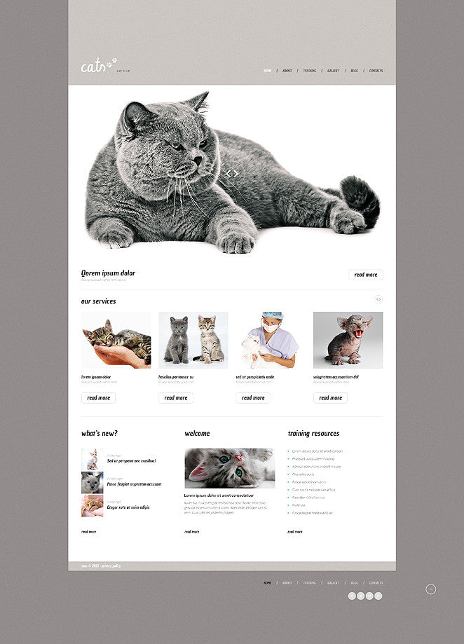 WordPress Themes - GoWebBaby.Com