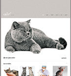 WordPress Themes - GoWebBaby.Com