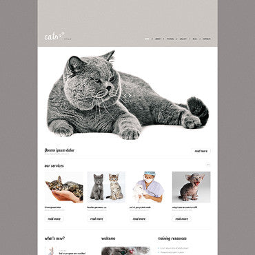 WordPress Themes - GoWebBaby.Com