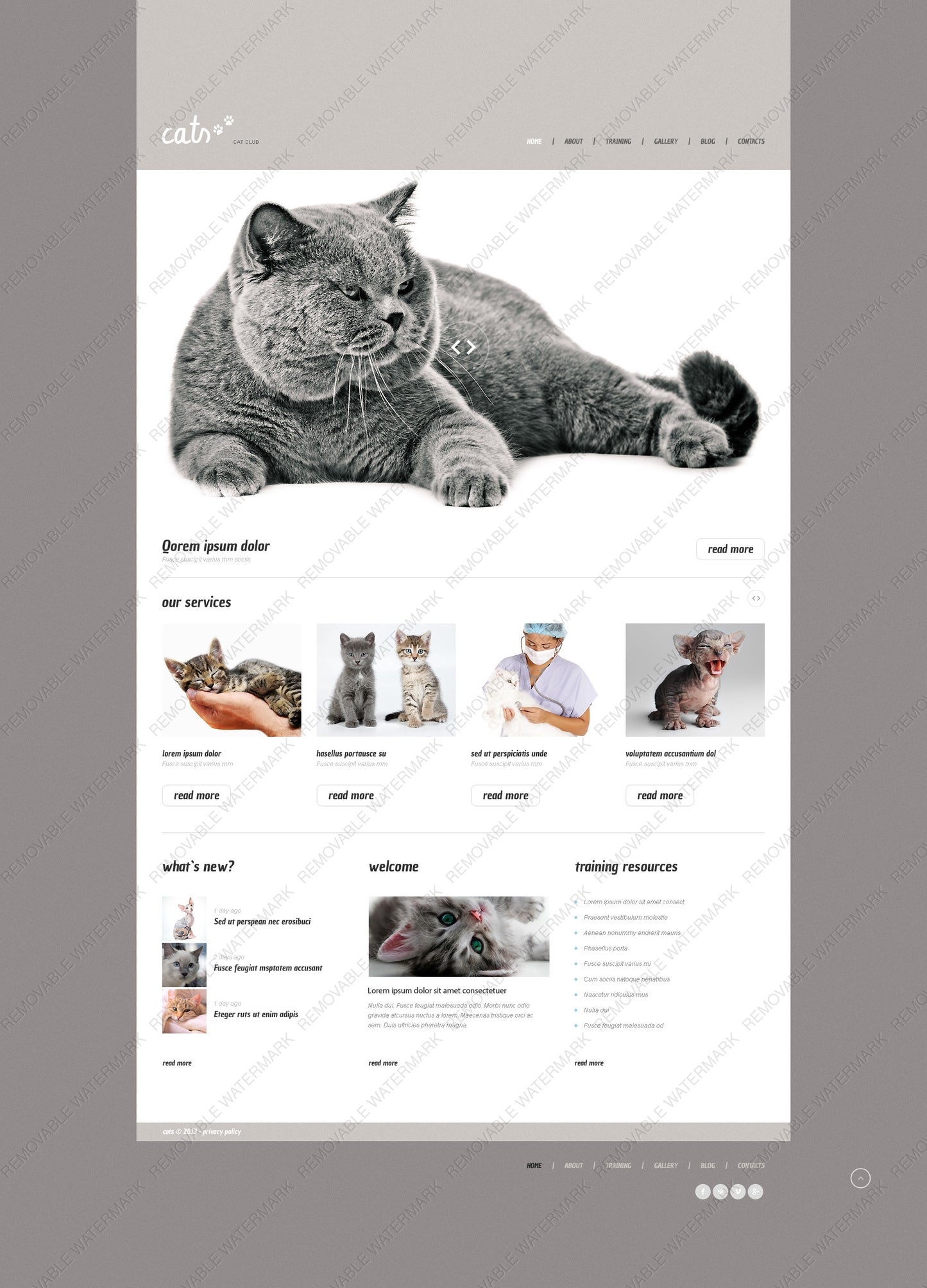 WordPress Themes - GoWebBaby.Com