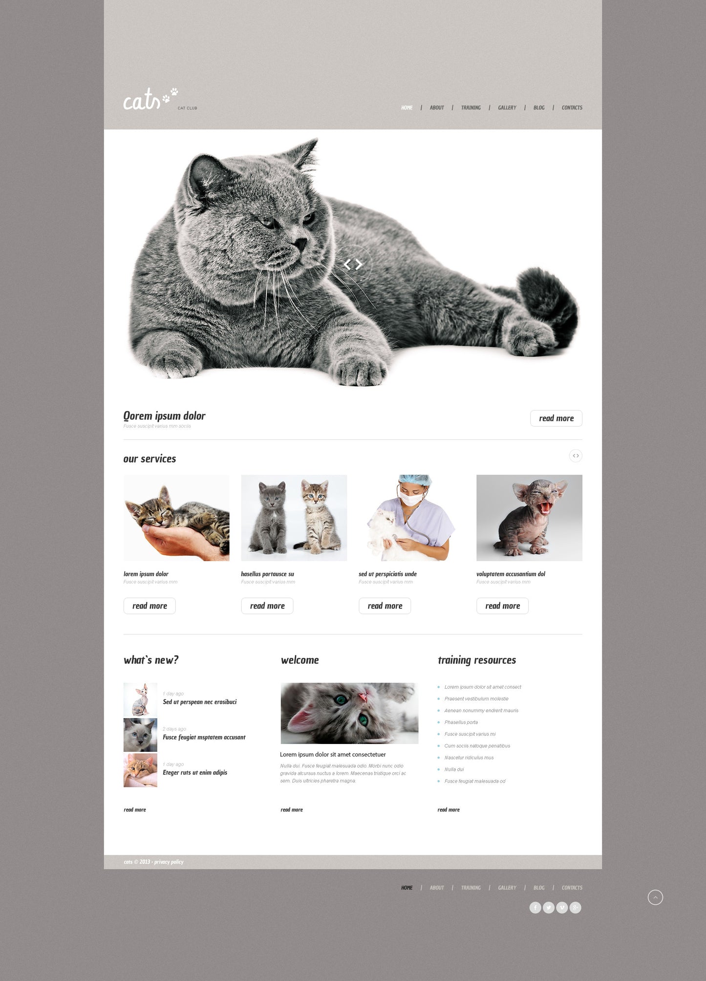 WordPress Themes - GoWebBaby.Com