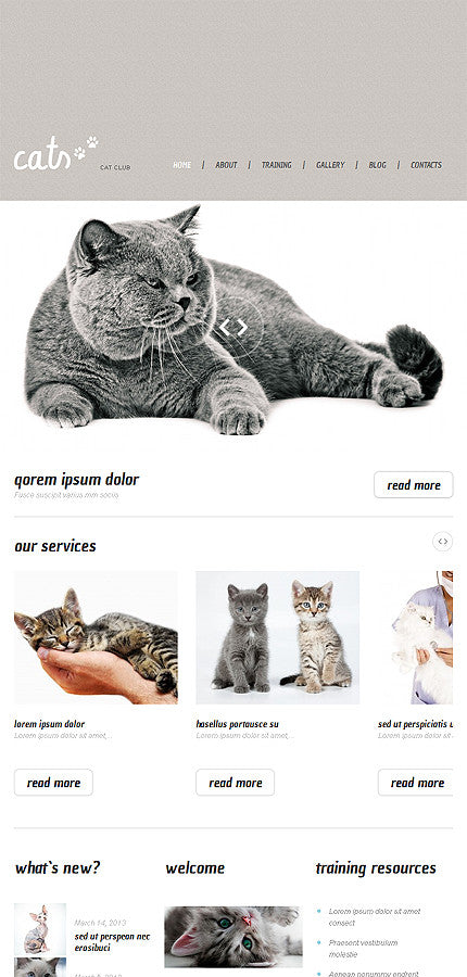 WordPress Themes - GoWebBaby.Com