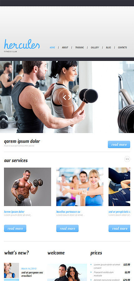WordPress Themes - GoWebBaby.Com