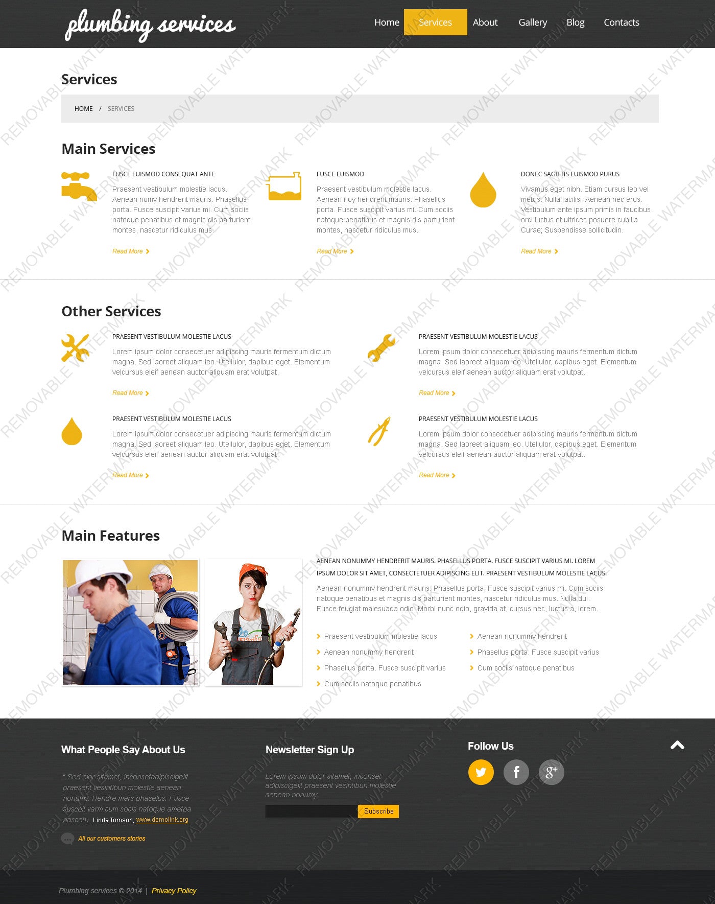 WordPress Themes - GoWebBaby.Com