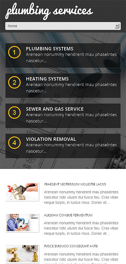 WordPress Themes - GoWebBaby.Com