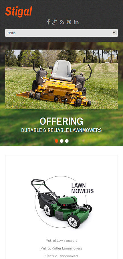 WordPress Themes - GoWebBaby.Com