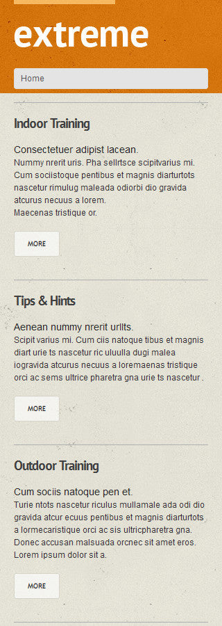 WordPress Themes - GoWebBaby.Com