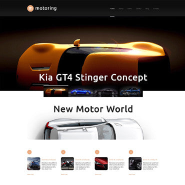 WordPress Themes - GoWebBaby.Com