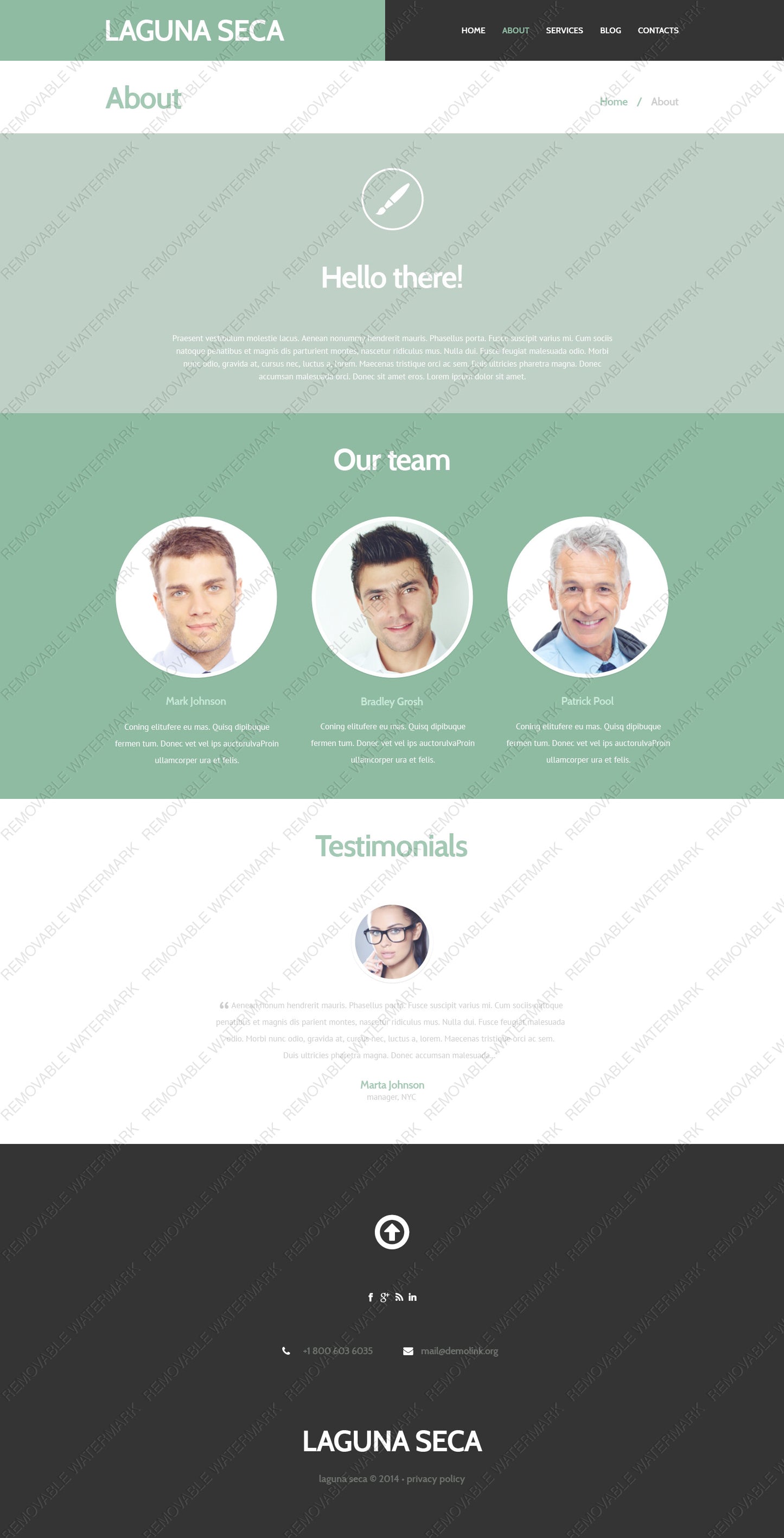 WordPress Themes - GoWebBaby.Com
