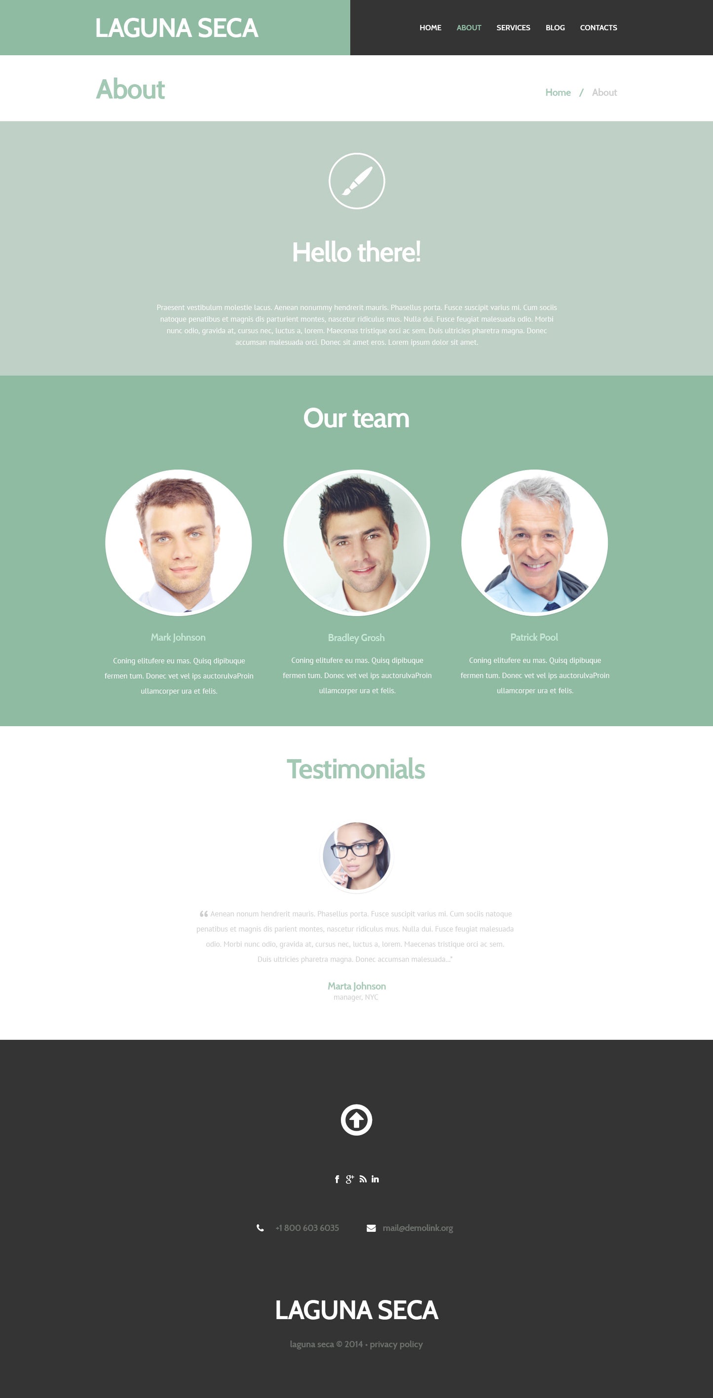 WordPress Themes - GoWebBaby.Com