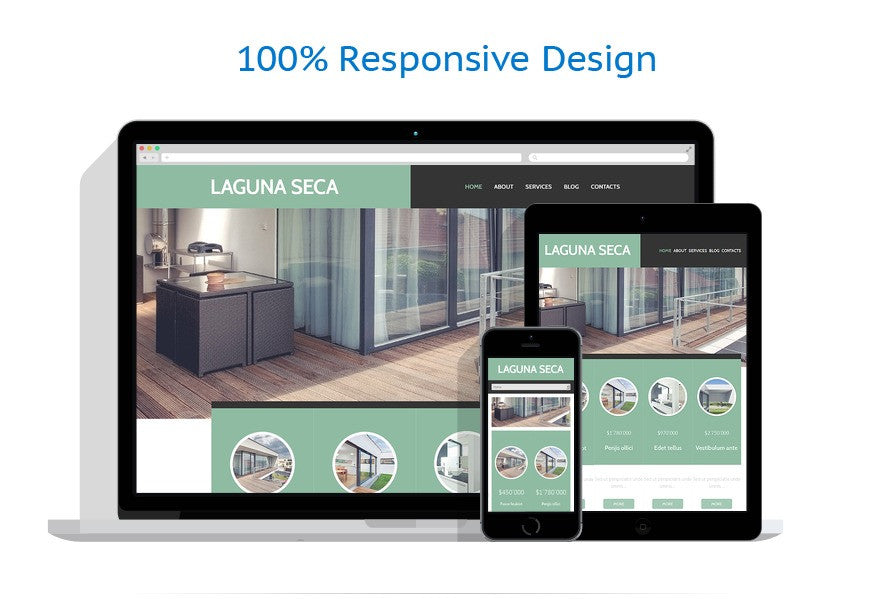 WordPress Themes - GoWebBaby.Com