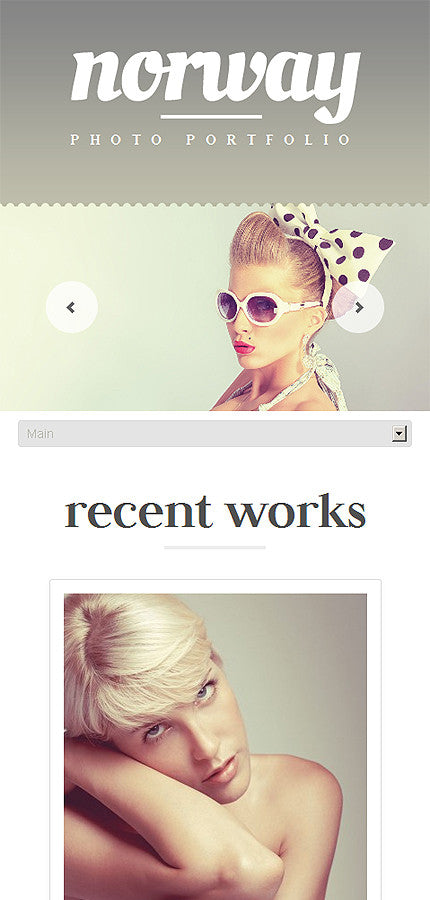 WordPress Themes - GoWebBaby.Com