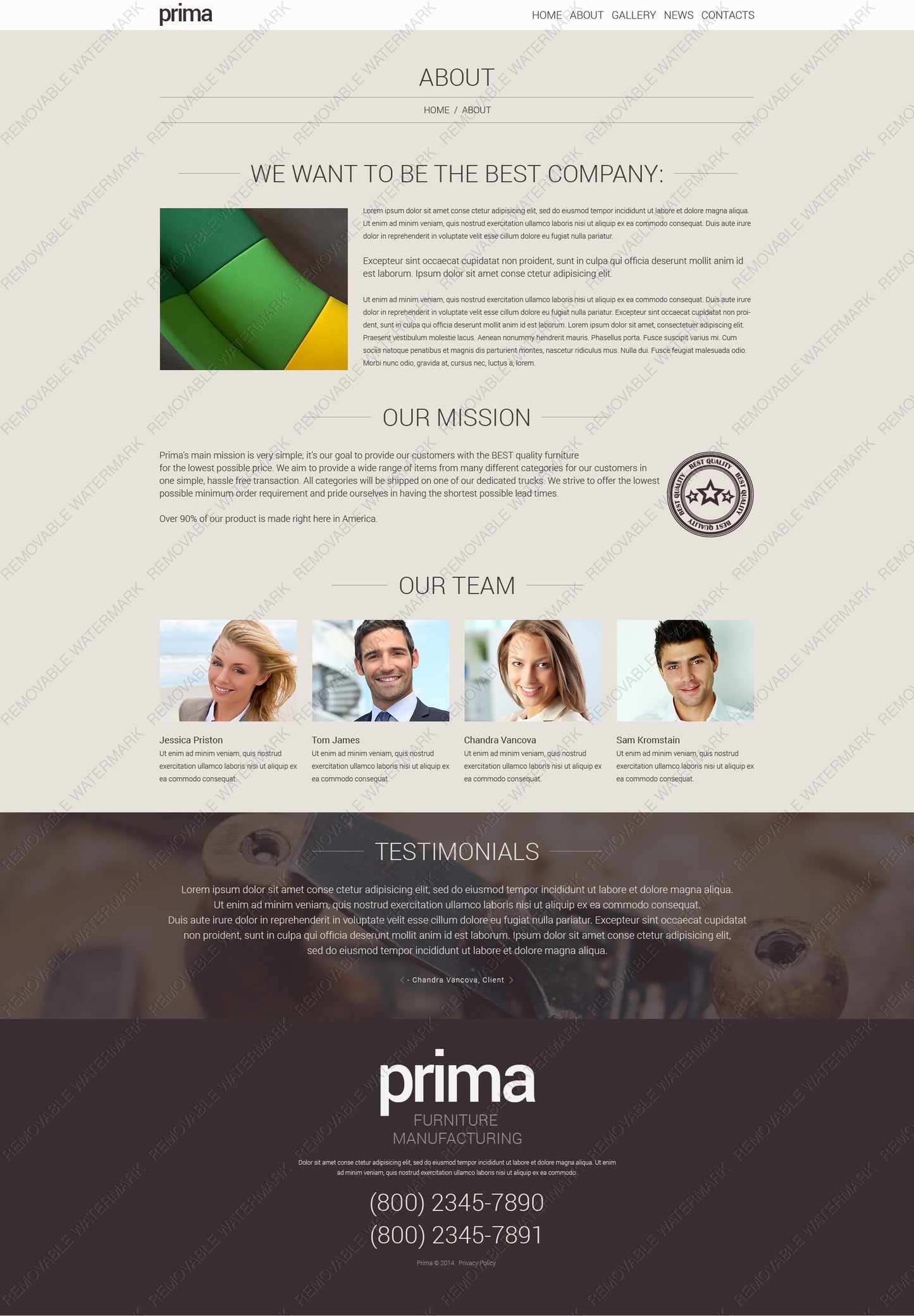 WordPress Themes - GoWebBaby.Com