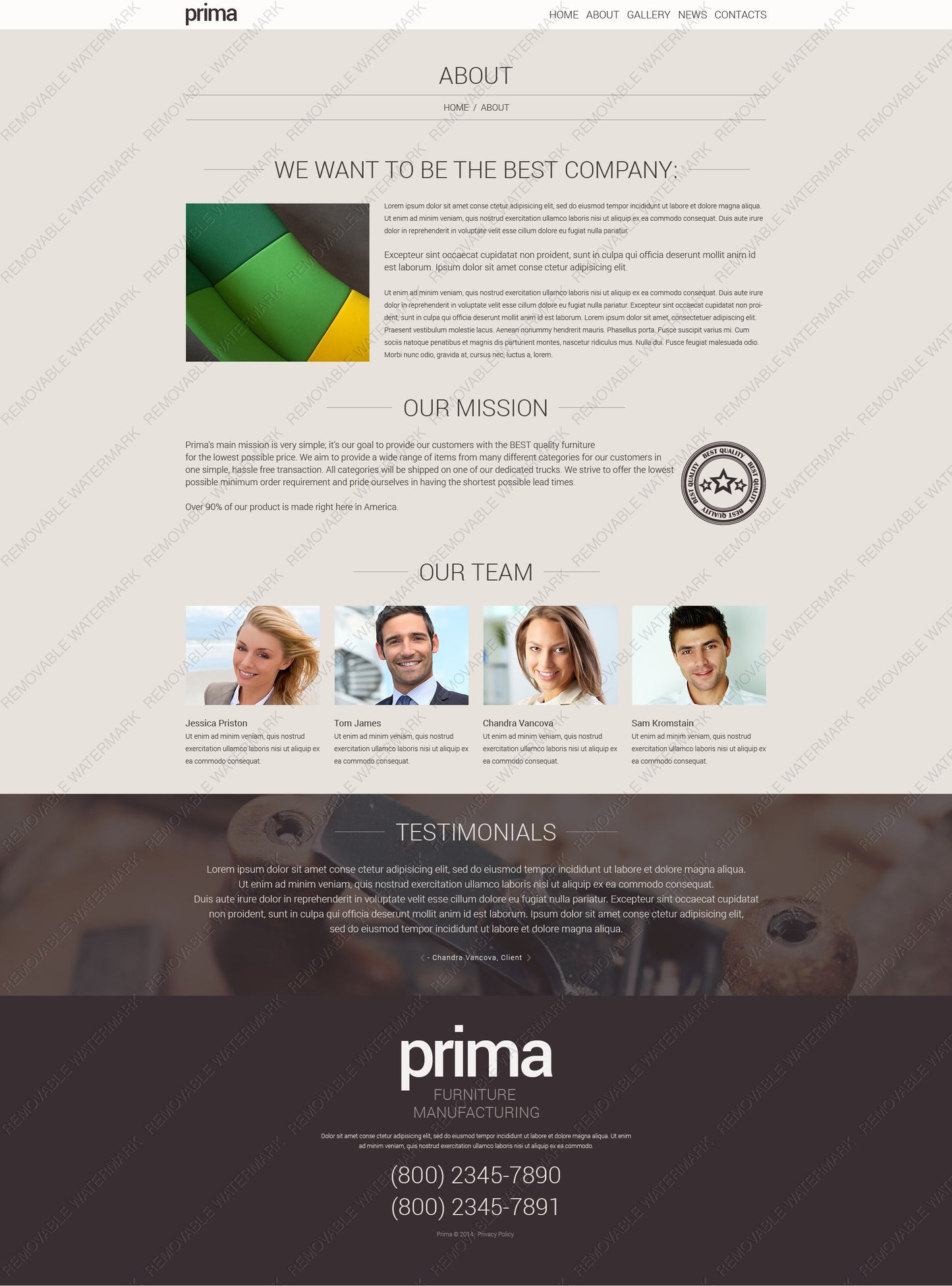 WordPress Themes - GoWebBaby.Com