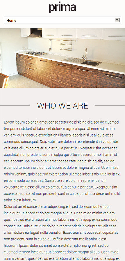 WordPress Themes - GoWebBaby.Com