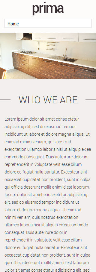 WordPress Themes - GoWebBaby.Com