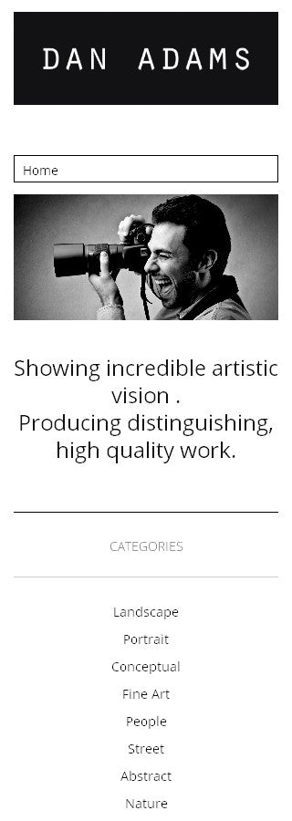 WordPress Themes - GoWebBaby.Com